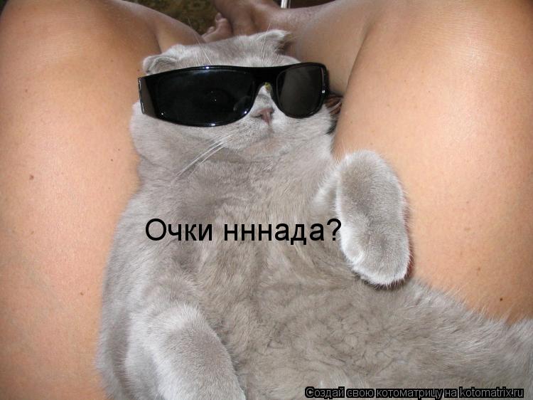 Котоматрица: Очки нннада?