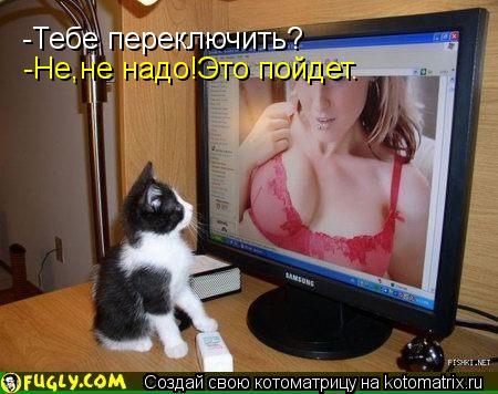 Котоматрица: -Тебе переключить? -Не,не надо!Это пойдет.