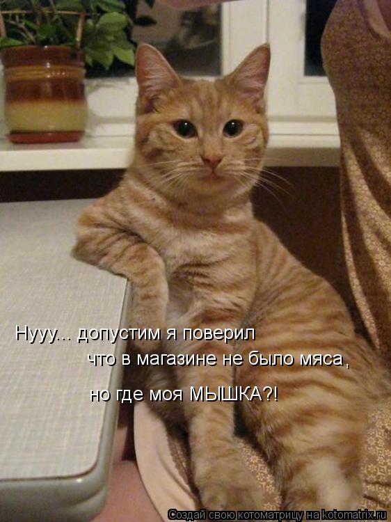Нууу... допустим я поверил что в магазине не было мяса , но где моя МЫШКА?!... Котоматрица: Нууу... допустим я поверил что в магазине не было мяса , но где моя МЫШКА?!