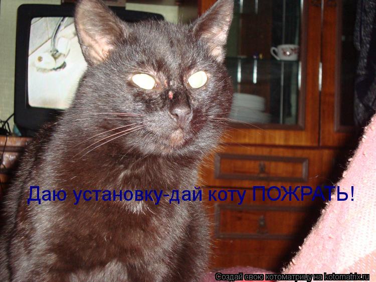 Даю установку-дай коту ПОЖРАТЬ!... Котоматрица: Даю установку-дай коту ПОЖРАТЬ!