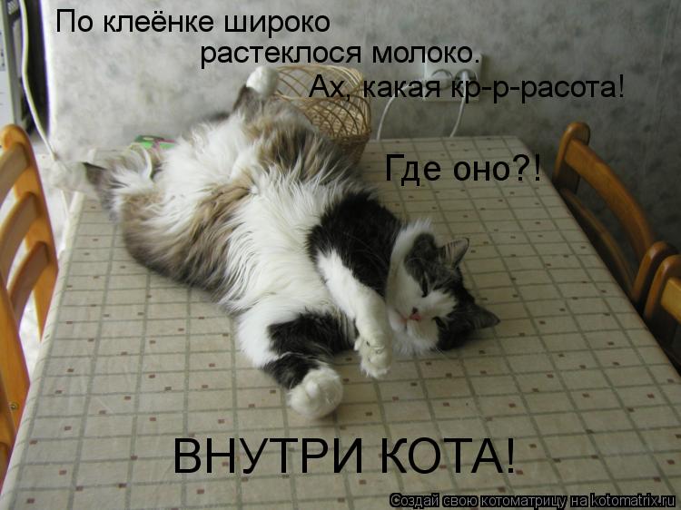 По клеёнке широко растеклося молоко. Ах, какая кр-р-расота! Где оно?! ВНУТРИ КОТА!... Котоматрица: По клеёнке широко растеклося молоко. Ах, какая кр-р-расота! Где оно?! ВНУТРИ КОТА!