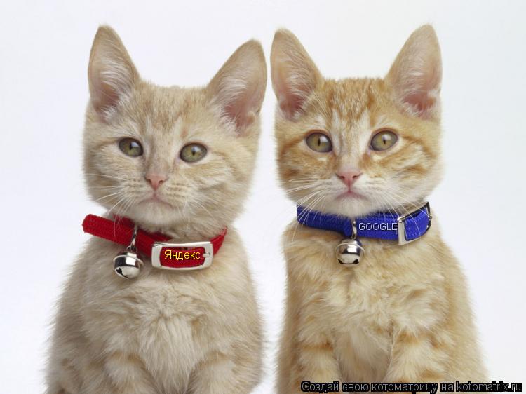 Яндекс GOOGLE... Котоматрица: Яндекс GOOGLE