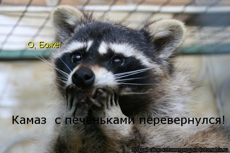 О, Боже! Камаз с печеньками перевернулся!... Котоматрица: О, Боже! Камаз с печеньками перевернулся!