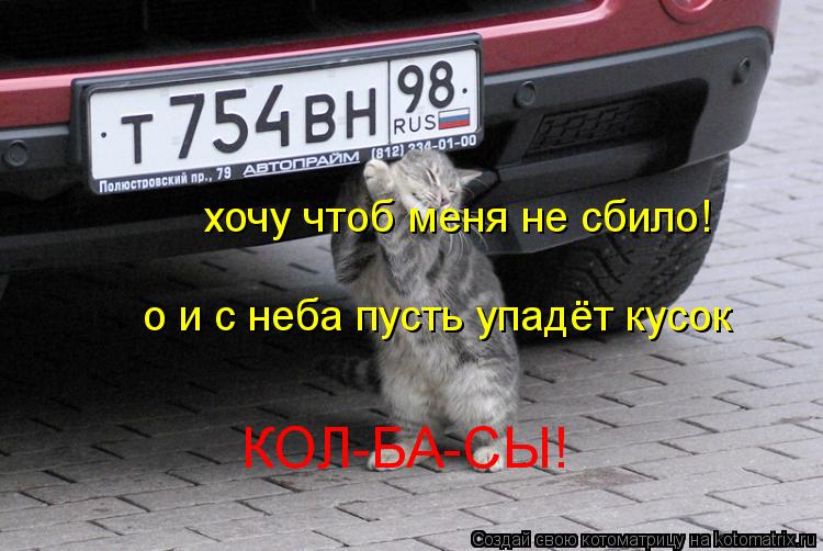 хочу чтоб меня не сбило! о и с неба пусть упадёт кусок КОЛ-БА-СЫ!... Котоматрица: хочу чтоб меня не сбило! о и с неба пусть упадёт кусок КОЛ-БА-СЫ!
