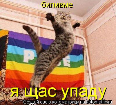 биливме я щас упаду... Котоматрица: биливме я щас упаду