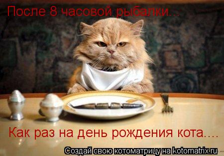 После 8 часовой рыбалки... Как раз на день рождения кота....... Котоматрица: После 8 часовой рыбалки... Как раз на день рождения кота....