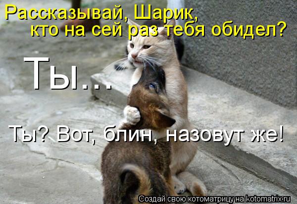 Котоматрица: Рассказывай, Шарик,  кто на сей раз тебя обидел? Ты... Ты? Вот, блин, назовут же!