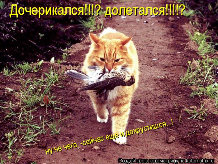 Дочерикался!!! Дочерикался!!!? долетался!!!!? ну не чего, -сейчас еще и дохрустишся...! ну не чего, ... Котоматрица: Дочерикался!!! Дочерикался!!!? долетался!!!!? ну не чего, -сейчас еще и дохрустишся...! ну не чего, -сейчас еще и дохрустишся...!