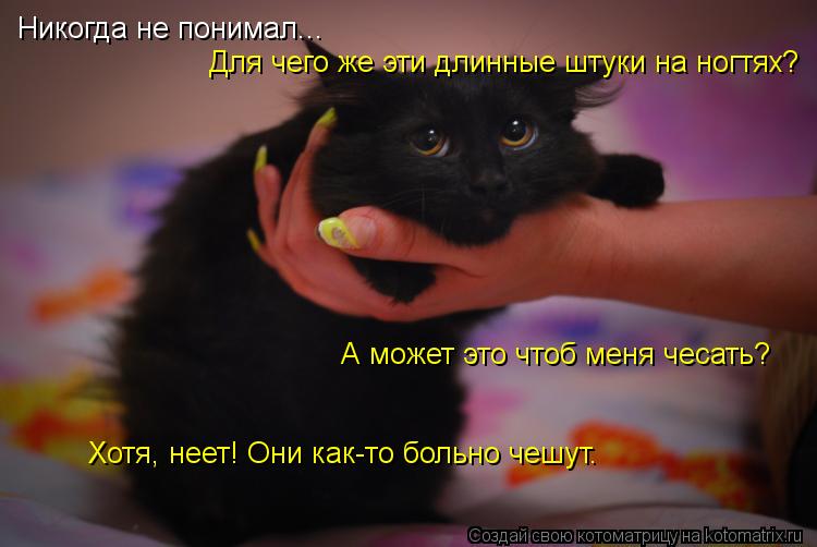 Никогда не понимал... Для чего же эти длинные штуки на ногтях? А может это чтоб меня чесать? Хотя, не... Котоматрица: Никогда не понимал... Для чего же эти длинные штуки на ногтях? А может это чтоб меня чесать? Хотя, неет! Они как-то больно чешут.