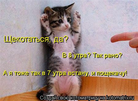 Щекотаться, да? А я тоже так в 7 утра встану, и пощекачу! В 8 утра? Так рано?... Котоматрица: Щекотаться, да? А я тоже так в 7 утра встану, и пощекачу! В 8 утра? Так рано?