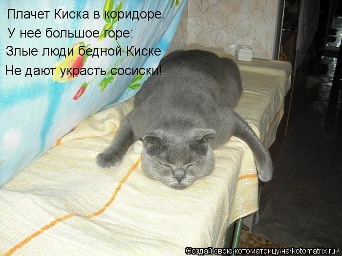 Плачет Киска в коридоре. У неё большое горе: Злые люди бедной Киске Не дают украсть сосиски!... Котоматрица: Плачет Киска в коридоре. У неё большое горе: Злые люди бедной Киске Не дают украсть сосиски!