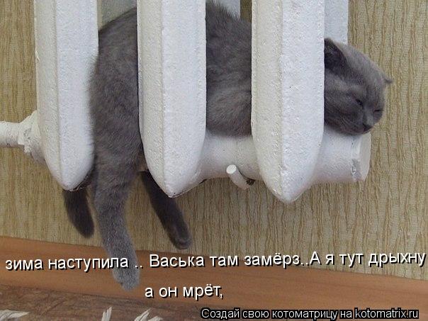 зима наступила .. Васька там замёрз..А я тут дрыхну ) а он мрёт,... Котоматрица: зима наступила .. Васька там замёрз..А я тут дрыхну ) а он мрёт,