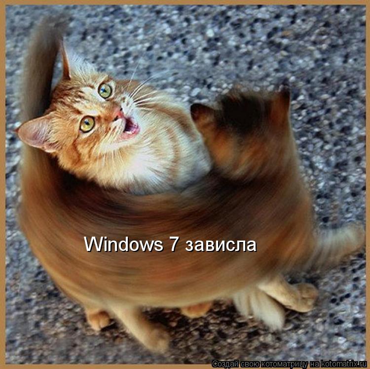 Windows 7 зависла... Котоматрица: Windows 7 зависла