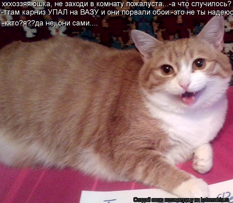 хххоззяяюшка, не заходи в комнату пожалуста...-а что случилось? -ттам карниз УПАЛ на ВАЗУ и они порва... Котоматрица: хххоззяяюшка, не заходи в комнату пожалуста...-а что случилось? -ттам карниз УПАЛ на ВАЗУ и они порвали обои.-это не ты надеюсь. -ккто?я??да не, о