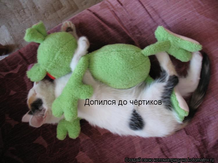 Котоматрица: Допился до чёртиков