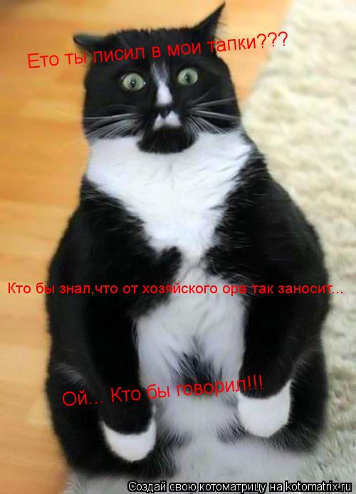Ето ты писил в мои тапки??? Кто бы знал,что от хозяйского ора так заносит... Ой... Кто бы говорил!!!... Котоматрица: Ето ты писил в мои тапки??? Кто бы знал,что от хозяйского ора так заносит... Ой... Кто бы говорил!!!