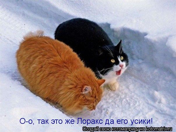 О-о, так это же Лоракс да его усики!... Котоматрица: О-о, так это же Лоракс да его усики!