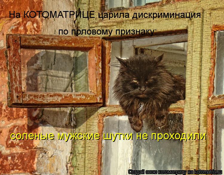 На КОТОМАТРИЦЕ царила дискриминация по половому признаку: соленые мужские шутки не проходили... Котоматрица: На КОТОМАТРИЦЕ царила дискриминация по половому признаку: соленые мужские шутки не проходили