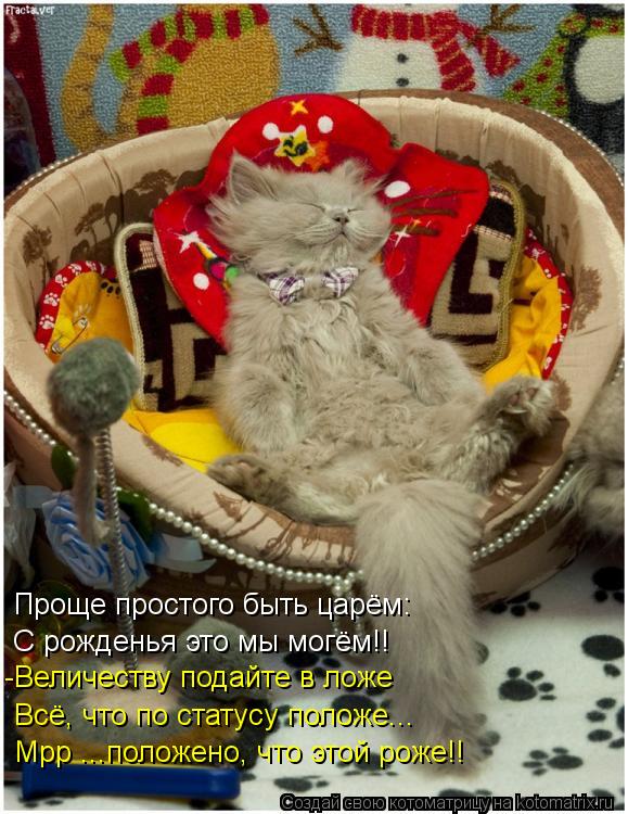 Проще простого быть царём: С рожденья это мы могём!! -Величеству подайте в ложе Всё, что по статусу п... Котоматрица: Проще простого быть царём: С рожденья это мы могём!! -Величеству подайте в ложе Всё, что по статусу положе... Мрр ...положено, что этой роже!!
