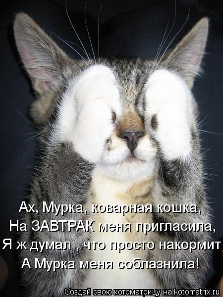 Ах, Мурка, коварная кошка, На ЗАВТРАК меня пригласила, Я ж думал , что просто накормит А Мурка меня с... Котоматрица: Ах, Мурка, коварная кошка, На ЗАВТРАК меня пригласила, Я ж думал , что просто накормит А Мурка меня соблазнила!