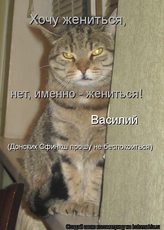 Скачать песню не хочу учится а хочу женица