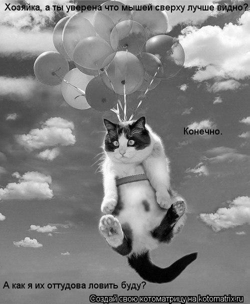 Хозяйка, а ты уверена что мышей сверху лучше видно? А как я их оттудова ловить буду? Конечно.... Котоматрица: Хозяйка, а ты уверена что мышей сверху лучше видно? А как я их оттудова ловить буду? Конечно.