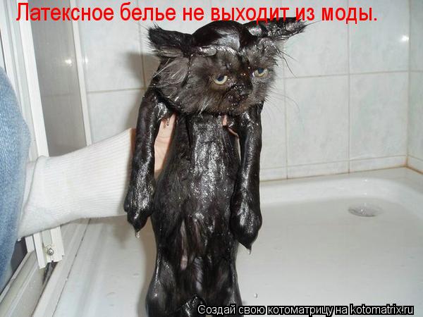 Латексное белье не выходит из моды.... Котоматрица: Латексное белье не выходит из моды.
