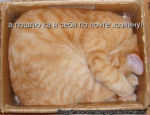 а пошлю ка я себя по почте хозяину!... Котоматрица: а пошлю ка я себя по почте хозяину!