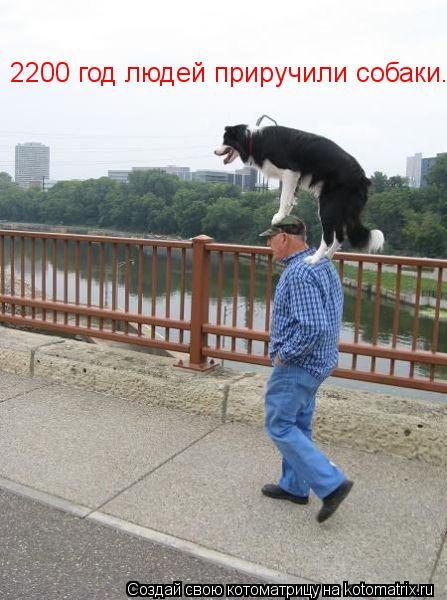 2200 год людей приручили собаки.... Котоматрица: 2200 год людей приручили собаки.