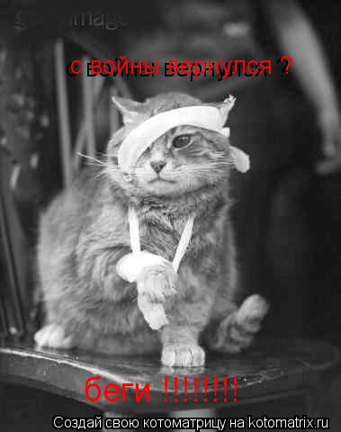 с войны вернулся ? с войны вернулся ? беги !!!!!!!!... Котоматрица: с войны вернулся ? с войны вернулся ? беги !!!!!!!!