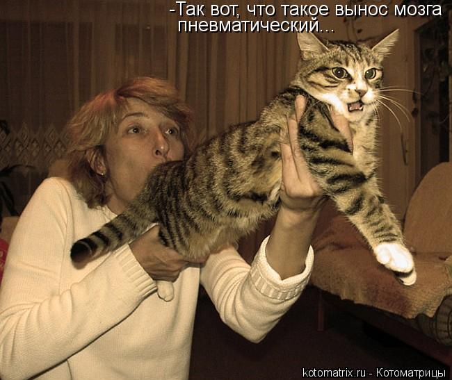 -Так вот, что такое вынос мозга пневматический...... Котоматрица: -Так вот, что такое вынос мозга пневматический...