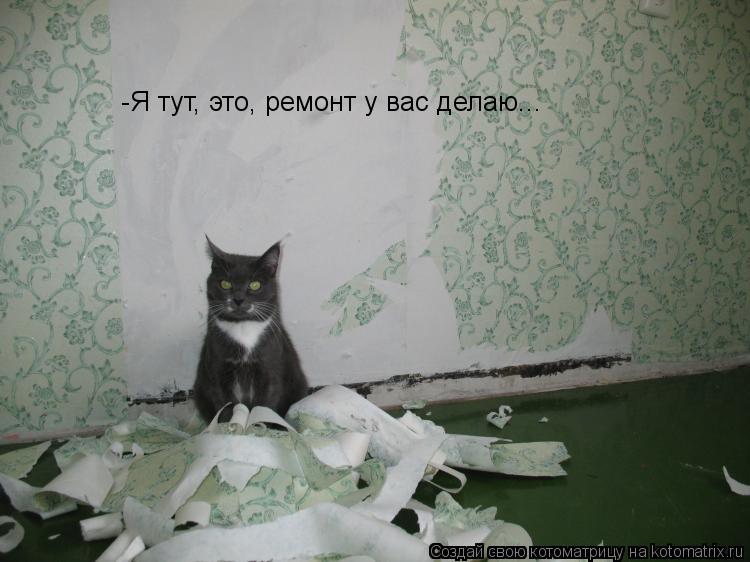 -Я тут, это, ремонт у вас делаю...... Котоматрица: -Я тут, это, ремонт у вас делаю...