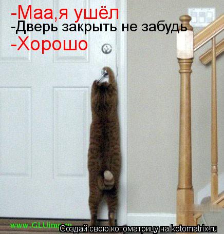 -Маа,я ушёл -Дверь закрыть не забудь -Хорошо... Котоматрица: -Маа,я ушёл -Дверь закрыть не забудь -Хорошо