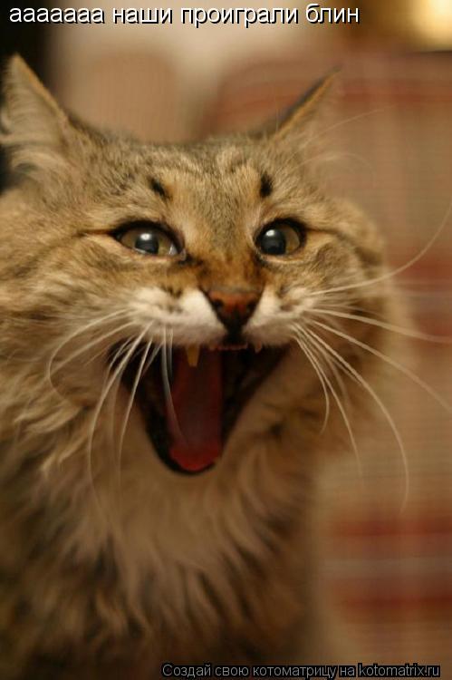 ааааааа наши проиграли блин... Котоматрица: ааааааа наши проиграли блин