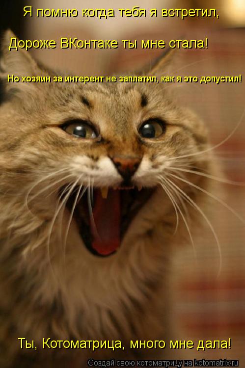 Я помню когда тебя я встретил, Дороже ВКонтаке ты мне стала! Но хозяин за интерент не заплатил, как я... Котоматрица: Я помню когда тебя я встретил, Дороже ВКонтаке ты мне стала! Но хозяин за интерент не заплатил, как я это допустил! Ты, Котоматрица, много мне