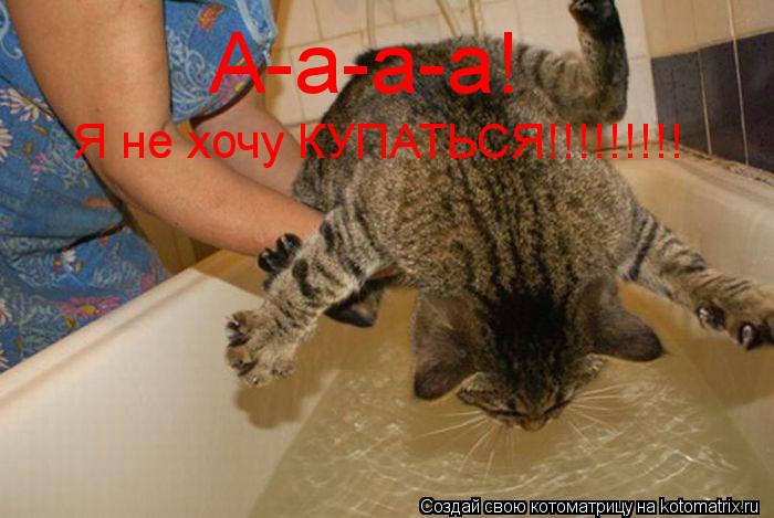 А-а-а-а! Я не хочу КУПАТЬСЯ!!!!!!!!!... Котоматрица: А-а-а-а! Я не хочу КУПАТЬСЯ!!!!!!!!!