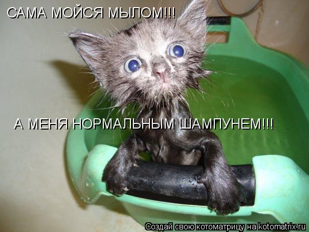 Котоматрица: САМА МОЙСЯ МЫЛОМ!!!  А МЕНЯ НОРМАЛЬНЫМ ШАМПУНЕМ!!!