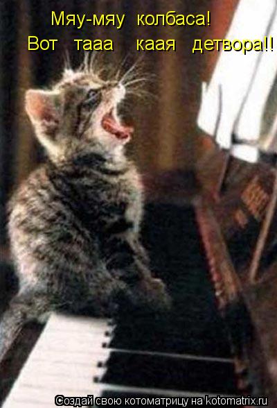 Котоматрица: Мяу-мяу  колбаса! Вот   тааа    каая   детвора!!