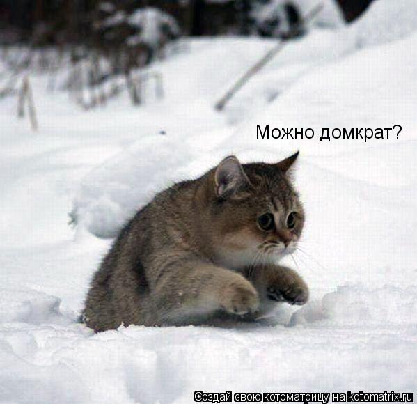 Котоматрица: Можно домкрат?