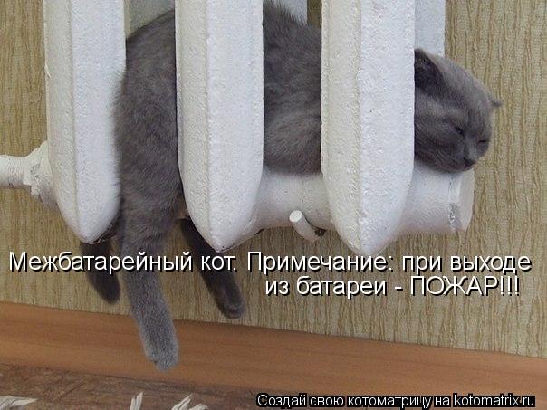 Котоматрица: Межбатарейный кот. Примечание: при выходе из батареи - ПОЖАР!!!