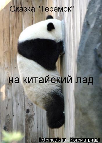 Котоматрица: Сказка "Теремок"  на китайский лад