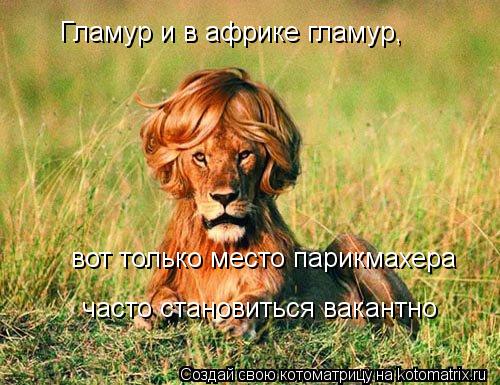 Котоматрица: Гламур и в африке гламур, вот только место парикмахера  часто становиться вакантно