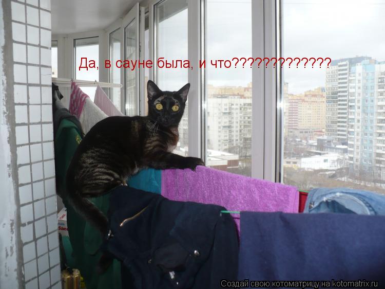 Котоматрица: Да, в сауне была, и что?????????????