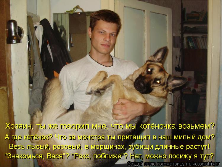Котоматрица: Хозяин, ты же говорил мне, что мы котёночка возьмем? А где котёнок? Что за монстра ты притащил в наш милый дом? Весь лысый, розовый, в морщинах,