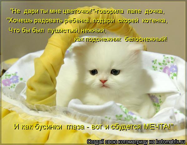 Котоматрица: "Не  дари ты мне цветочки!"-говорила  папе  дочка, "Хочешь радовать ребенка, подари  скорей  котенка, Что бы был  пушистый, нежный, как подснежни