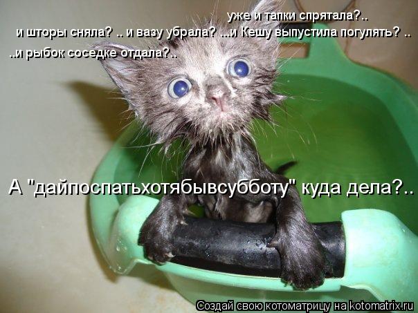 Котоматрица: уже и тапки спрятала?.. и шторы сняла? .. и вазу убрала? ...и Кешу выпустила погулять? .. ..и рыбок соседке отдала?.. А "дайпоспатьхотябывсубботу" к