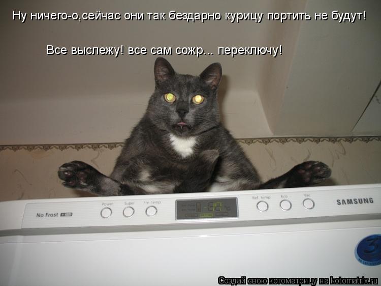 Котоматрица: Ну ничего-о,сейчас они так бездарно курицу портить не будут! Все выслежу! все сам сожр... переключу!