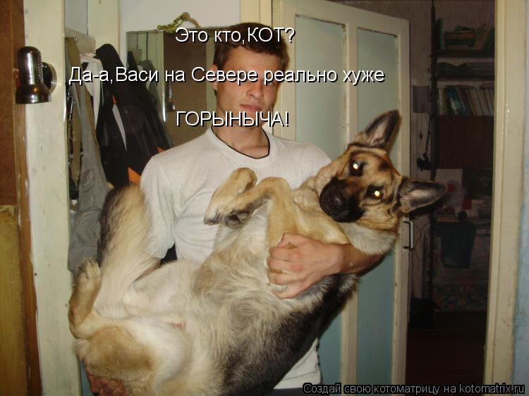 Котоматрица: Это кто,КОТ? Да-а,Васи на Севере реально хуже ГОРЫНЫЧА!