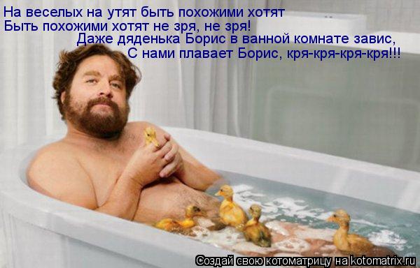 Котоматрица: На веселых на утят быть похожими хотят Быть похожими хотят не зря, не зря! Даже дяденька Борис в ванной комнате завис, С нами плавает Борис, к