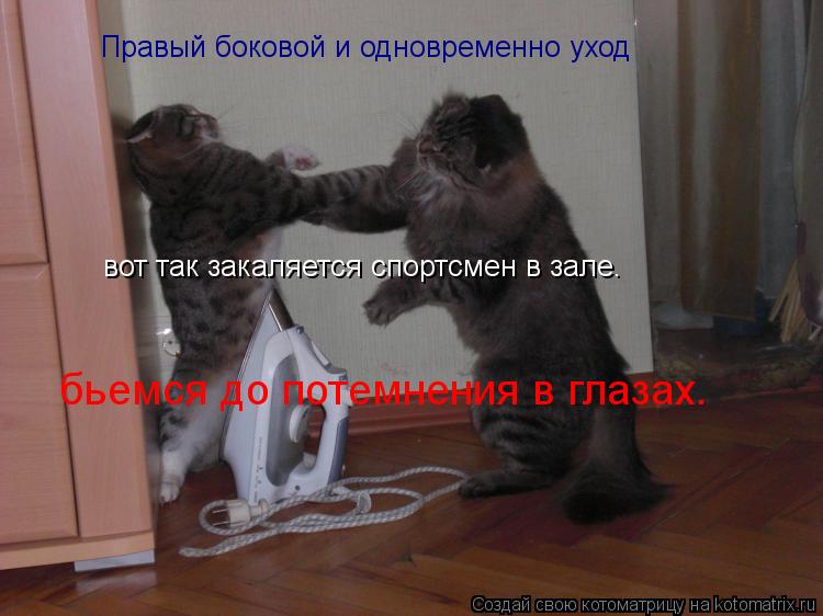 Котоматрица: Правый боковой и одновременно уход  вот так закаляется спортсмен в зале. бьемся до потемнения в глазах.